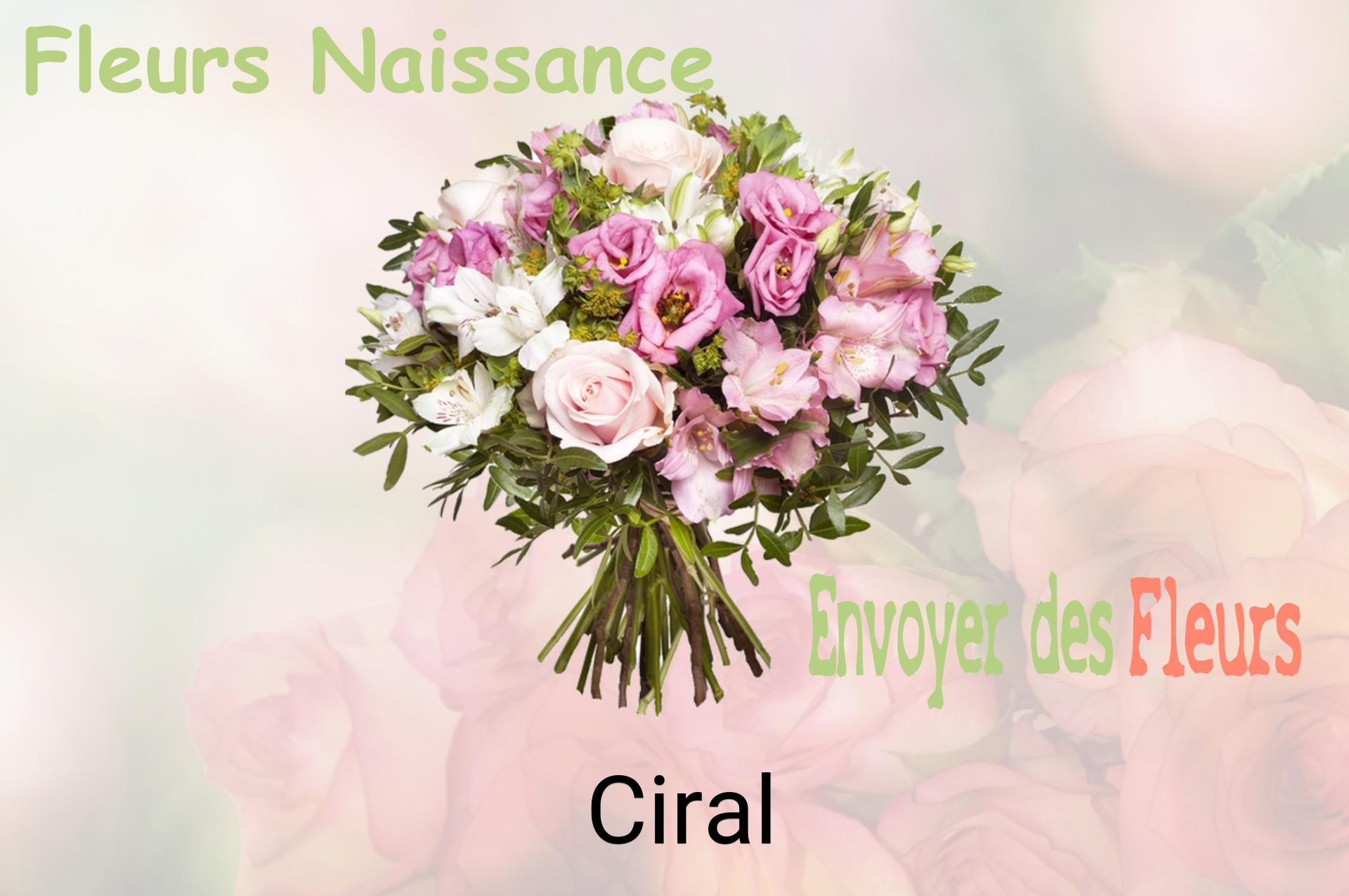 Bouquet de fleurs de naissance livré à Ciral